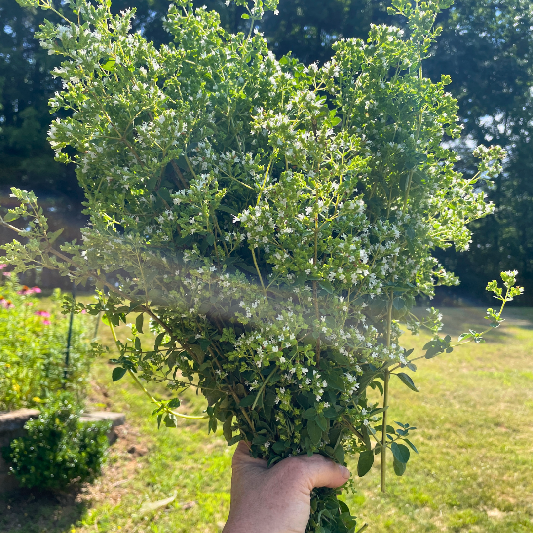 Herbs