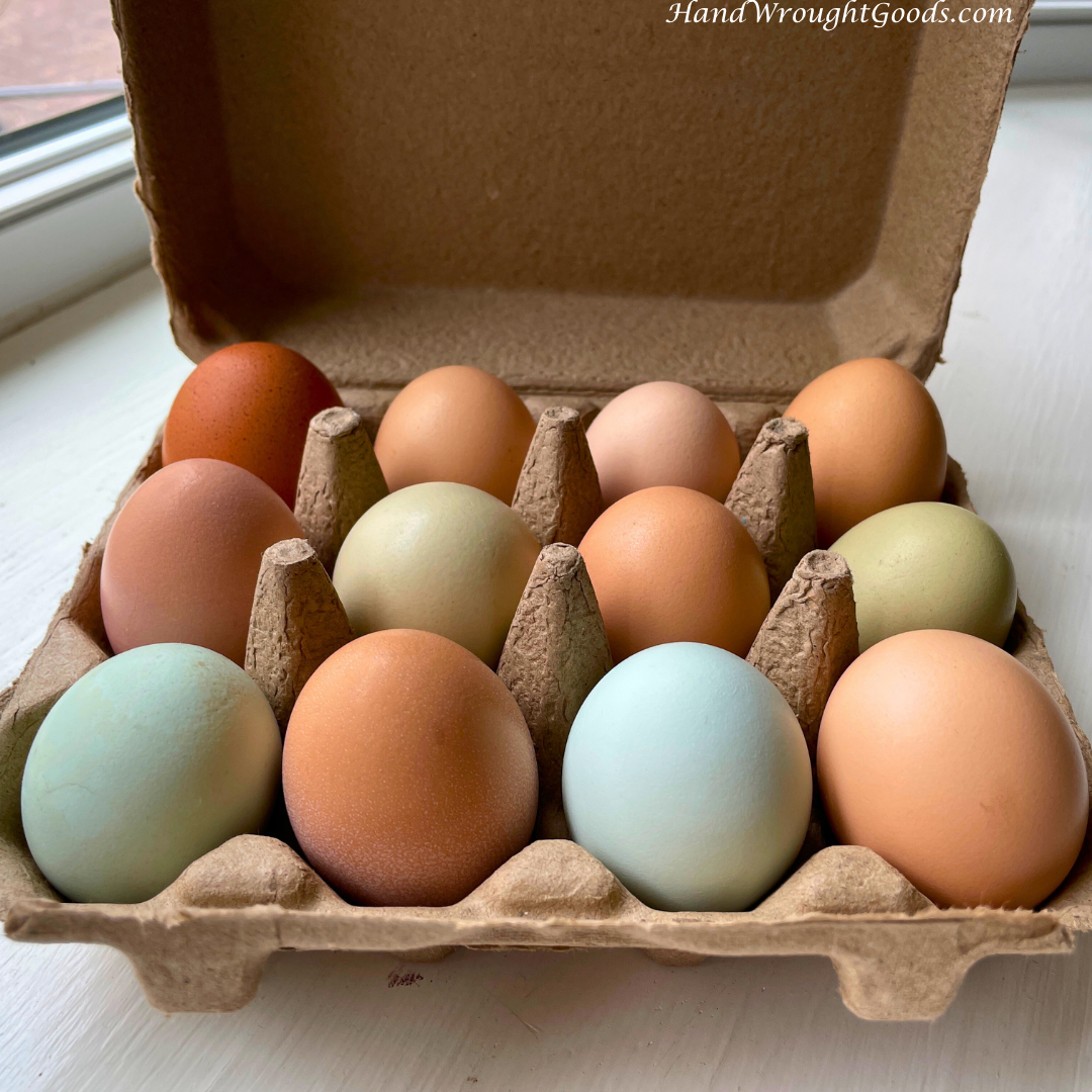 Eggs